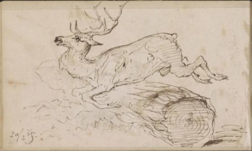 Stag, leaping over a log