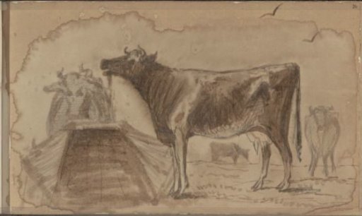 Meadow with cows at a trough