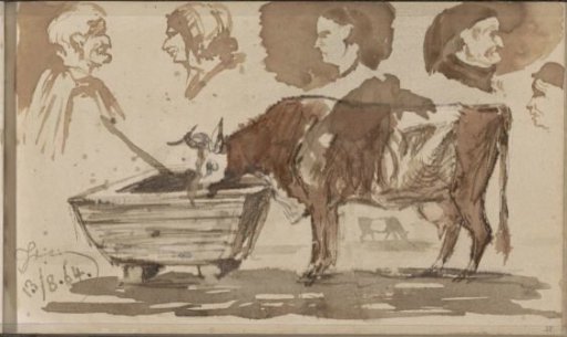 Cow at a trough