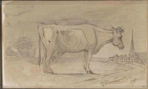 Cow in a meadow