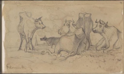 Cows in a Meadow