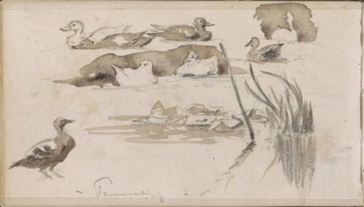 Ducks on the Water and Reeds