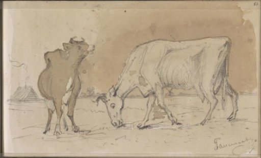 Two Cows in a Meadow