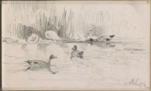 River with Ducks