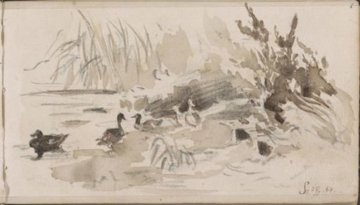 Ducks at the Water's Edge near Sneppenschrik