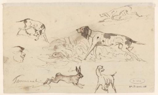 Sketches of hunting dogs