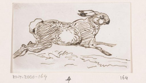 Hare