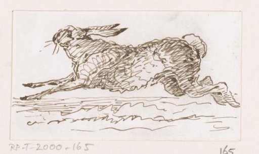 Hare