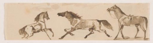Three horses