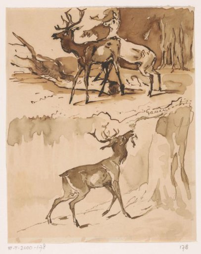 Two sketches of stags