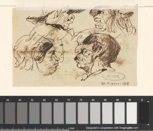 Heads
