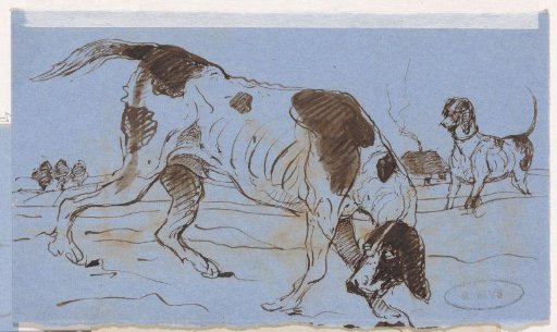 Hunting dogs