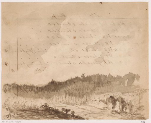 Forest landscape with stags