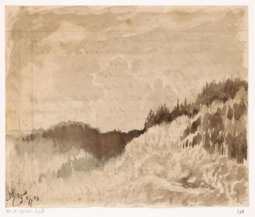 Forest landscape