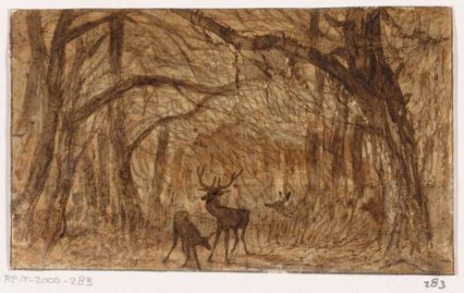 Forest landscape with deer