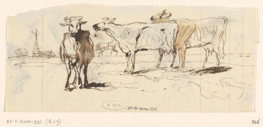 Cows in the meadow