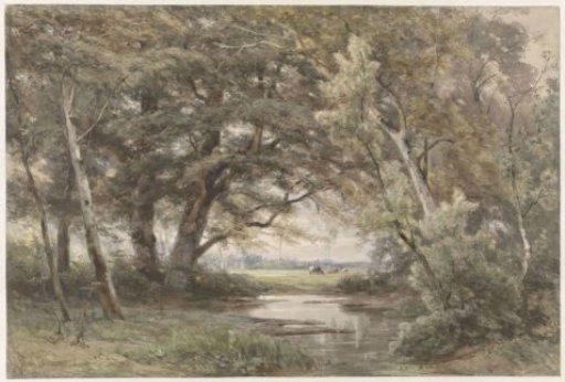 Water girl among trees at the end of a forest