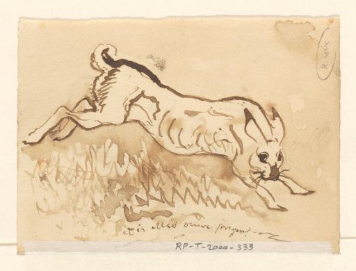 Hare