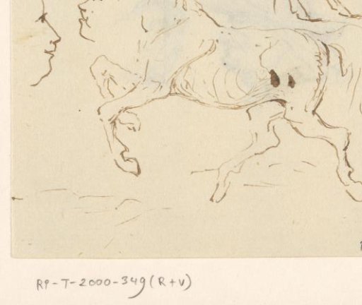 Horses and heads