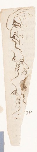 Profiles