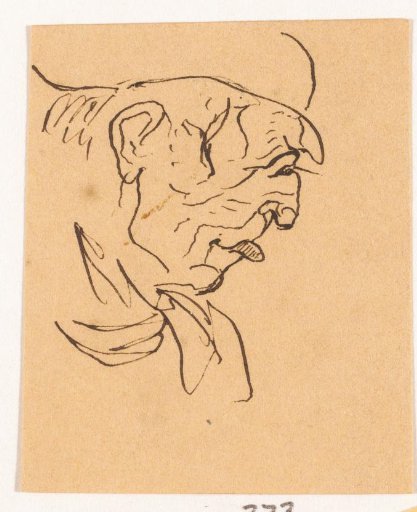 Head
