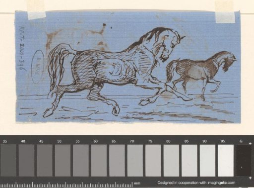 Two Studies of a Horse