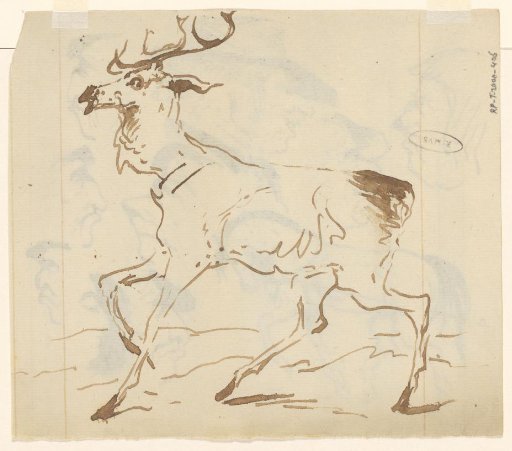 Stag