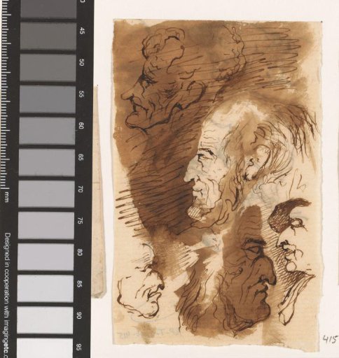 Heads