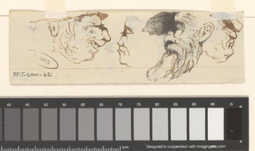 Heads
