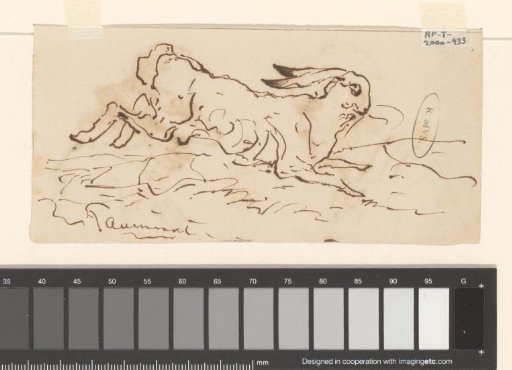 Hare