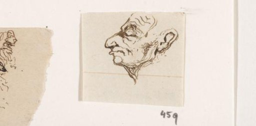 Head
