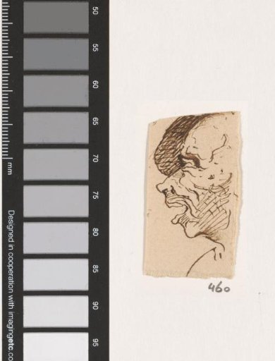 Head