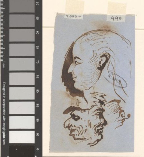 Heads
