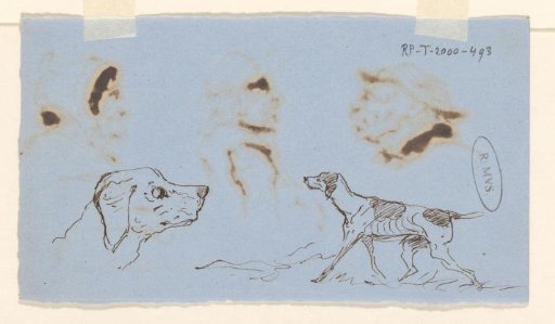 Hunting Dog