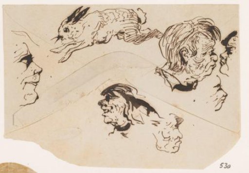 Hare and heads