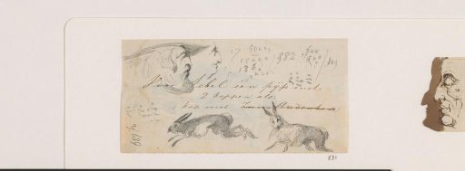 Two heads and two hares
