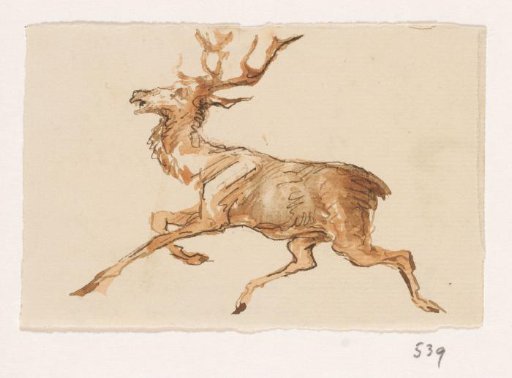 Stag