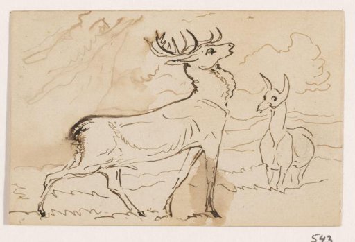 Stags