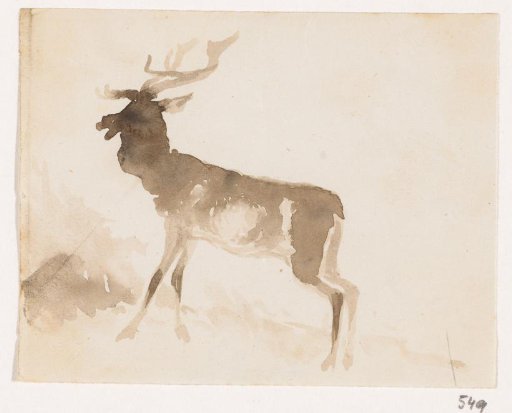 Stag