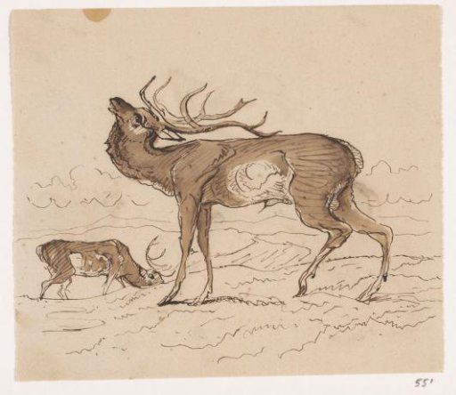 Two Stags
