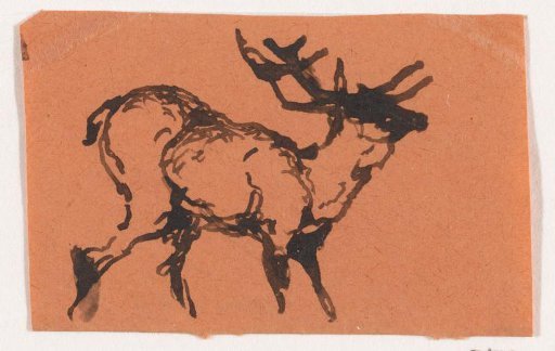 Stag