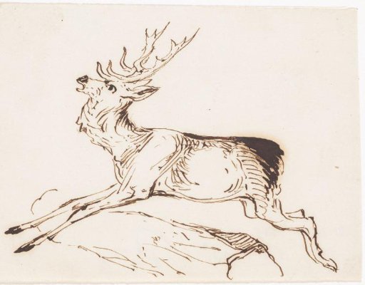 Stag