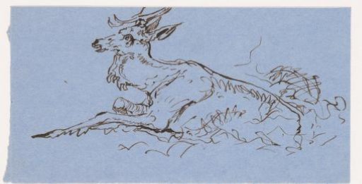Stag
