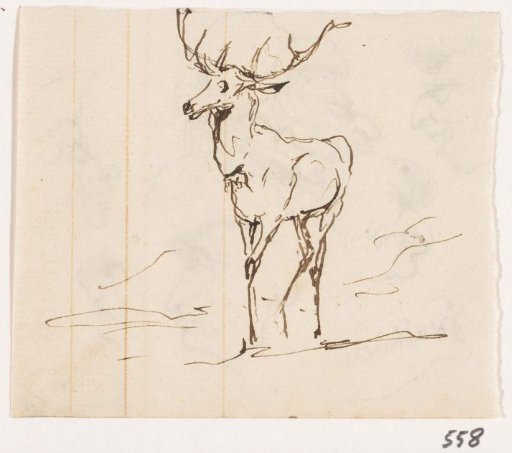 Stag