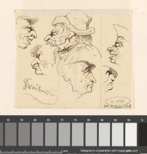 Heads