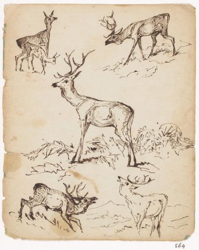 Sketch sheet with stags