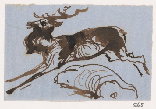 Stag