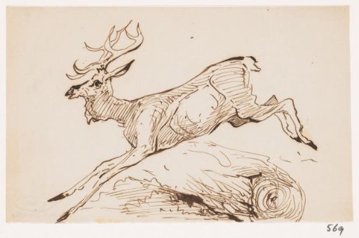 Stag jumping over a log