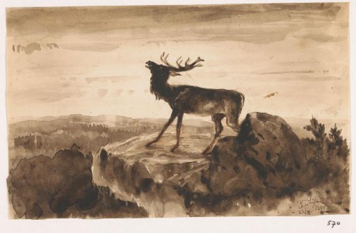 Stag on a stone plateau