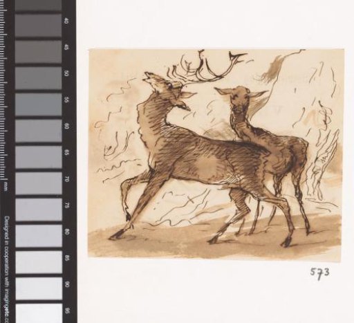 Two stags